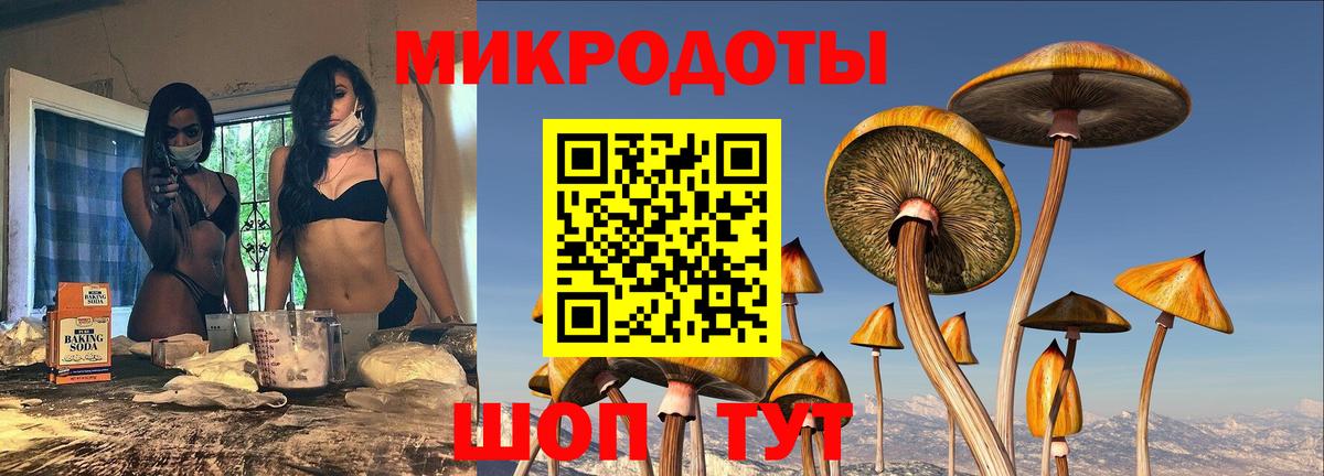 Псилоцибиновые грибы прущие грибы Гагарин