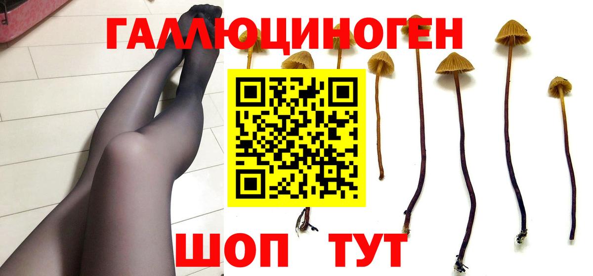 Псилоцибиновые грибы GOLDEN TEACHER  Псилоцибиновые грибы Magic Shrooms  Вход с VPN  Гагарин 